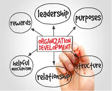 ORGANIZATIONAL DEVELOPMENT